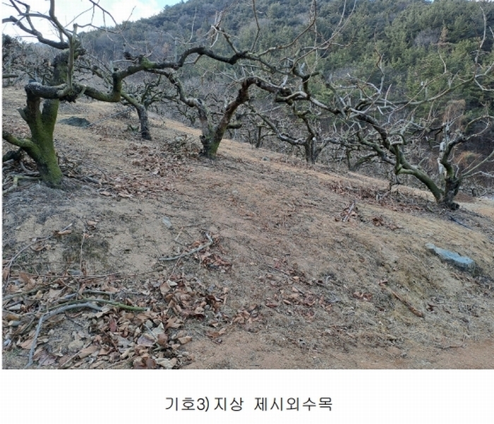 2025타경10641 경상남도 창원시 의창구 동읍 봉곡리 산108-2 과수원 경매 이미지