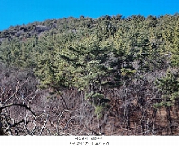 2025타경10641 경상남도 창원시 의창구 동읍 봉곡리 산108-2 과수원 경매 이미지