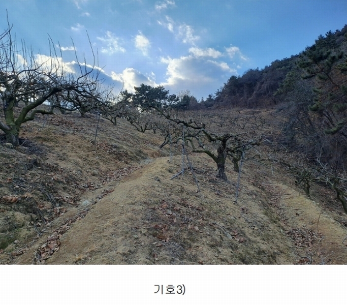 2025타경10641 경상남도 창원시 의창구 동읍 봉곡리 산108-2 과수원 경매 이미지