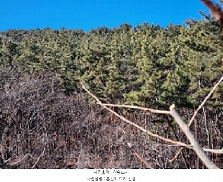 2025타경10641 경상남도 창원시 의창구 동읍 봉곡리 산108-2 과수원 경매 이미지