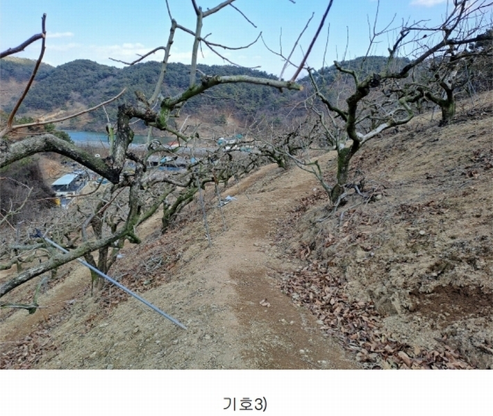 2025타경10641 경상남도 창원시 의창구 동읍 봉곡리 산108-2 과수원 경매 이미지