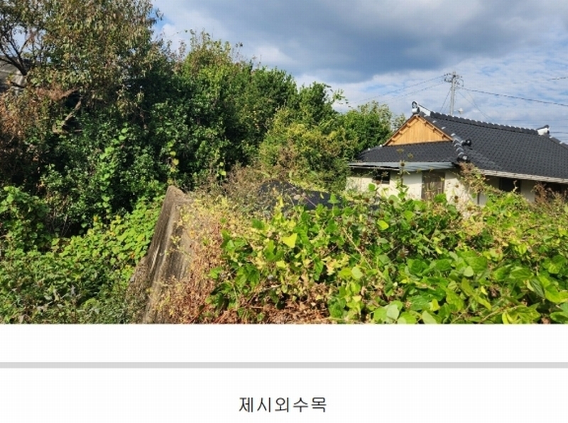 2023타경5065 경상남도 김해시 생림면 마사리 670-2 주택 경매 이미지