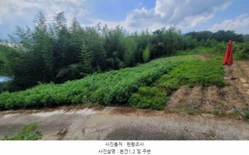 2024타경2353 경상남도 함안군 군북면 덕대리 542 대지 경매 이미지