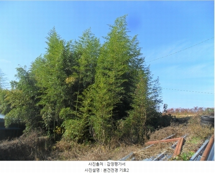 2024타경2353 경상남도 함안군 군북면 덕대리 542 대지 경매 이미지