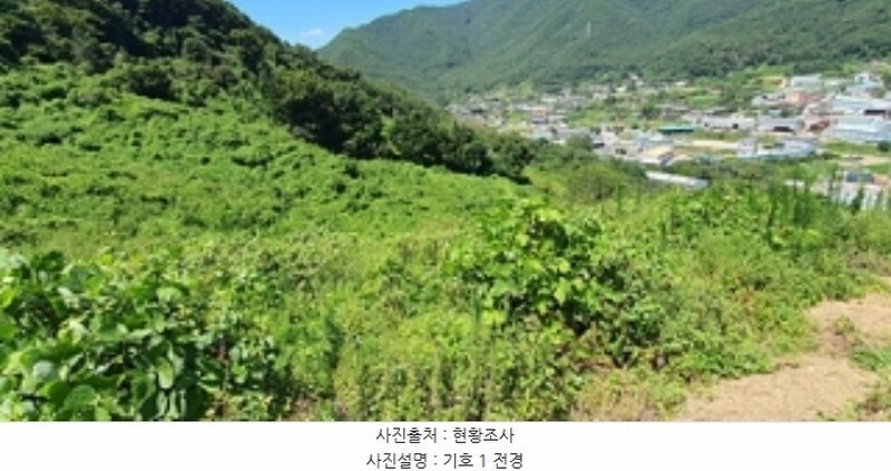 2024타경5031 경상남도 김해시 생림면 나전리 산103 임야 경매 이미지