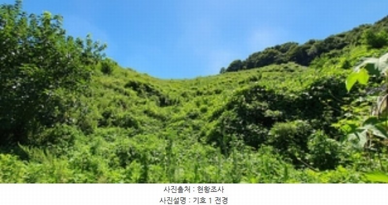 2024타경5031 경상남도 김해시 생림면 나전리 산103 임야 경매 이미지