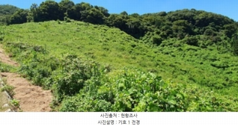 2024타경5031 경상남도 김해시 생림면 나전리 산103 임야 경매 이미지