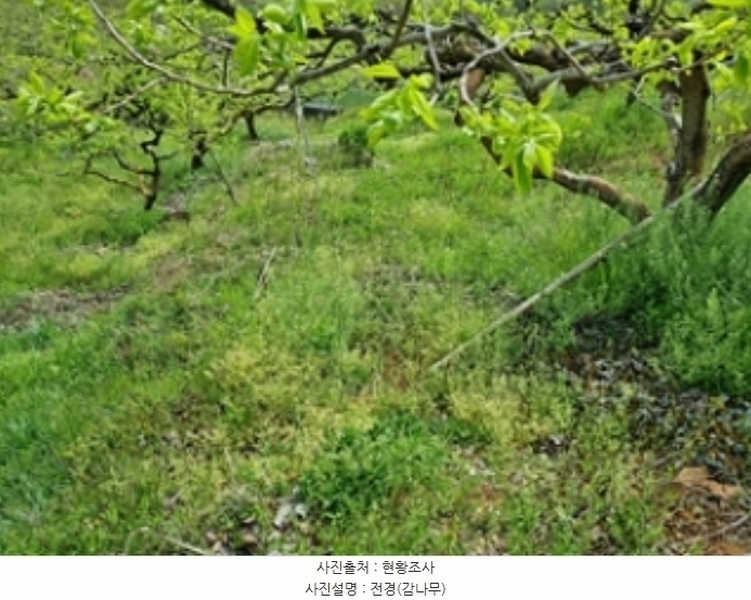2024타경104433 경상남도 창원시 의창구 동읍 봉곡리 924-2 농지 경매 이미지