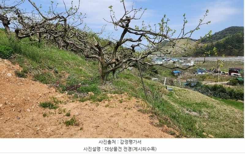2024타경104433 경상남도 창원시 의창구 동읍 봉곡리 924-2 농지 경매 이미지