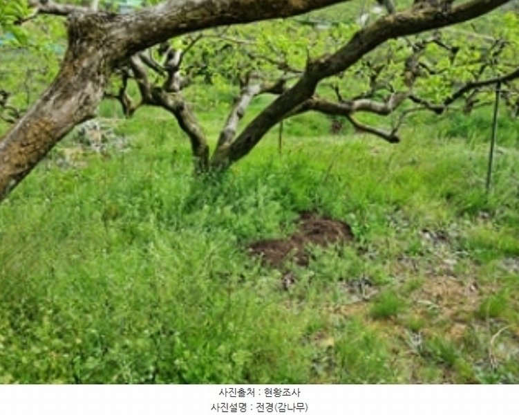2024타경104433 경상남도 창원시 의창구 동읍 봉곡리 924-2 농지 경매 이미지
