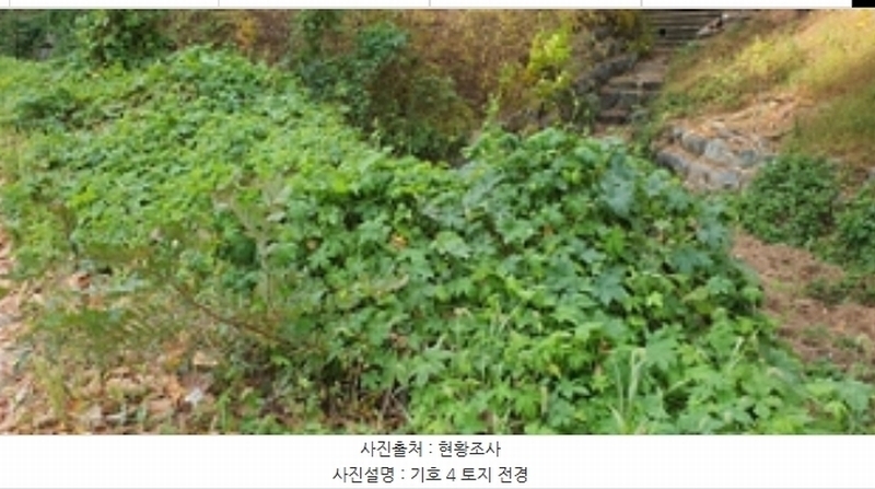 2024타경115716 경상남도 김해시 삼계동 388-3 임야 경매 이미지