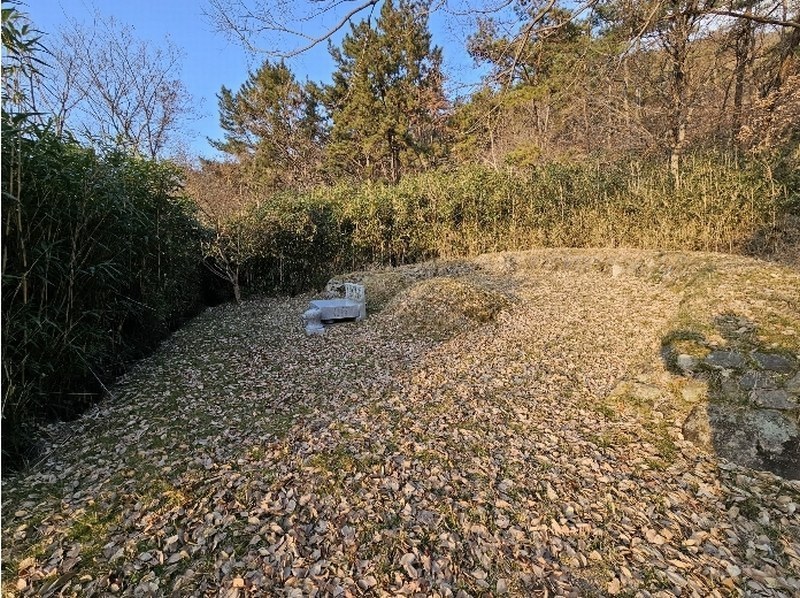 2024타경117088 경상남도 김해시 대동면 주동리 577 농지 경매 이미지