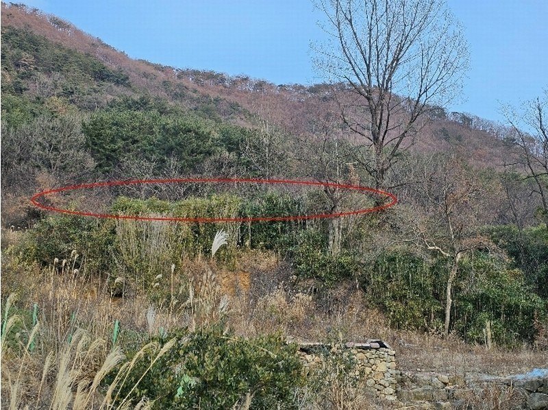 2024타경117088 경상남도 김해시 대동면 주동리 577 농지 경매 이미지