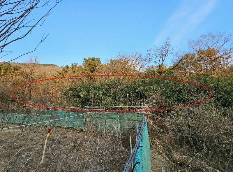 2024타경117088 경상남도 김해시 대동면 주동리 577 농지 경매 이미지