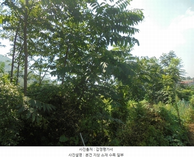 2024타경4991 경상남도 김해시 주촌면 내삼리 120 농지 경매 이미지