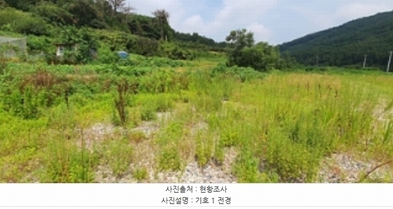 2024타경4991 경상남도 김해시 주촌면 내삼리 120 농지 경매 이미지
