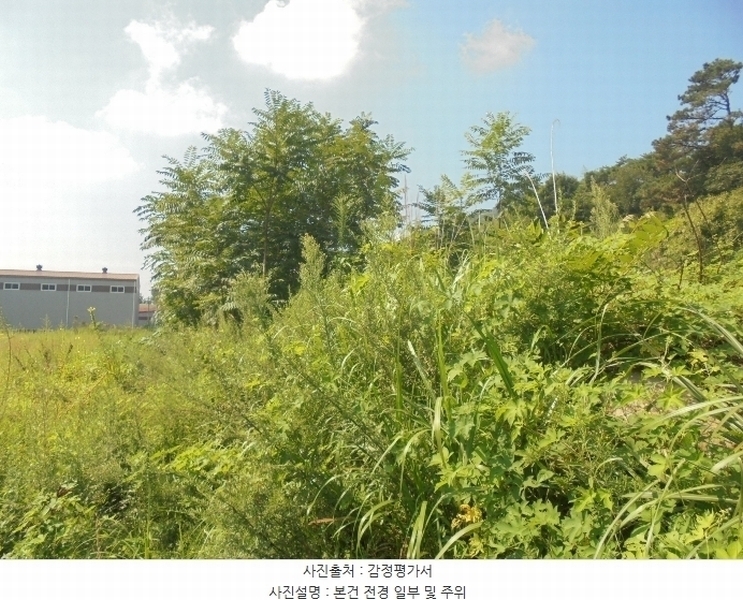 2024타경4991 경상남도 김해시 주촌면 내삼리 120 농지 경매 이미지