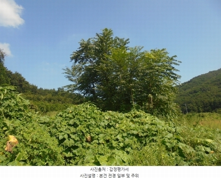 2024타경4991 경상남도 김해시 주촌면 내삼리 120 농지 경매 이미지