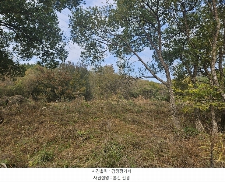 2024타경7235 경상남도 김해시 주촌면 양동리 775 농지 경매 이미지
