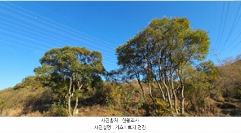 2024타경7235 경상남도 김해시 주촌면 양동리 775 농지 경매 이미지