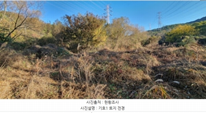 2024타경7235 경상남도 김해시 주촌면 양동리 775 농지 경매 이미지