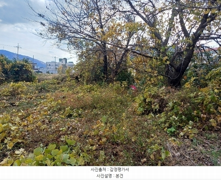 2024타경7570 경상남도 창원시 진해구 마천동 153-43 농지 경매 이미지