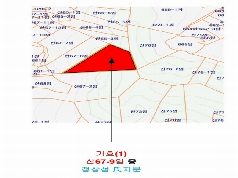 2024타경110414 경상남도 김해시 한림면 명동리 산67-9 임야 경매 이미지