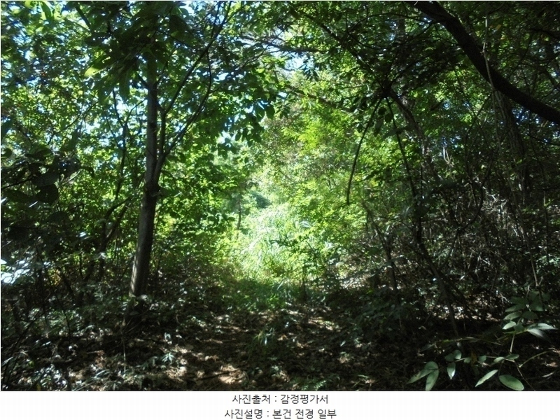 2024타경110414 경상남도 김해시 한림면 명동리 산67-9 임야 경매 이미지