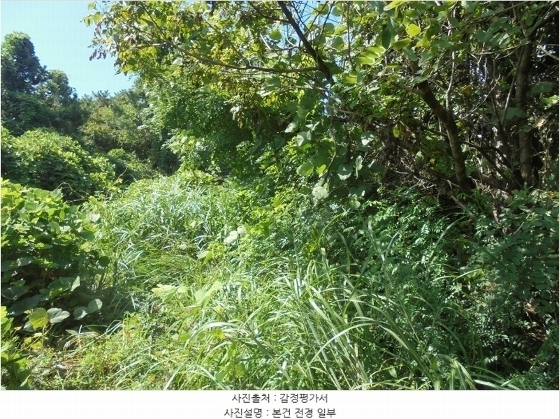 2024타경110414 경상남도 김해시 한림면 명동리 산67-9 임야 경매 이미지
