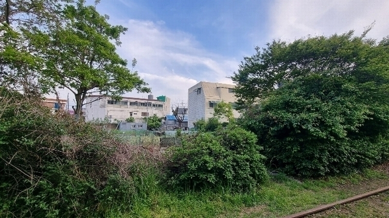 2024타경2551 경상남도 창원시 진해구 이동 527-1 농지 경매 이미지