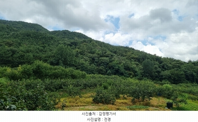 2024타경4755 경상남도 창원시 의창구 북면 내곡리 367-1 농지 경매 이미지
