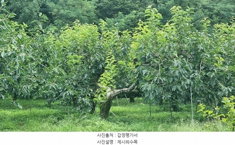 2024타경4755 경상남도 창원시 의창구 북면 내곡리 367-1 농지 경매 이미지