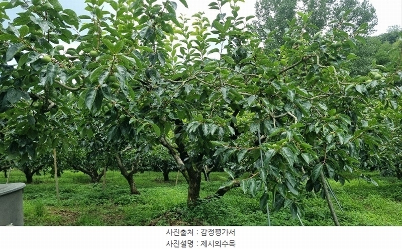 2024타경4755 경상남도 창원시 의창구 북면 내곡리 367-1 농지 경매 이미지