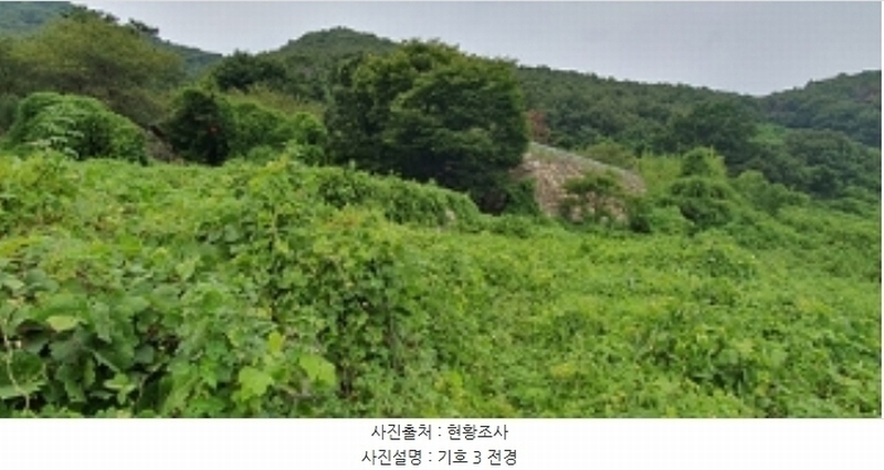 2024타경111028 경상남도 김해시 생림면 생철리 1324-8 임야 경매 이미지