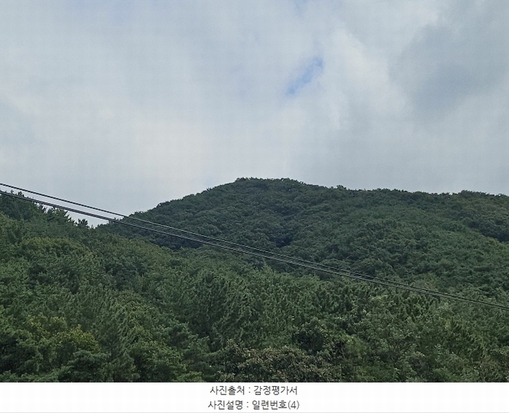 2024타경111288 경상남도 김해시 진영읍 우동리 산145 임야 경매 이미지