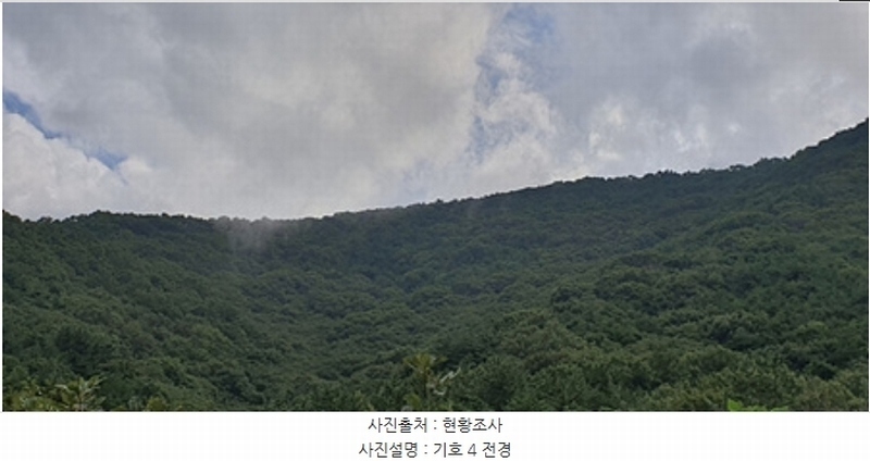 2024타경111288 경상남도 김해시 진영읍 우동리 산145 임야 경매 이미지