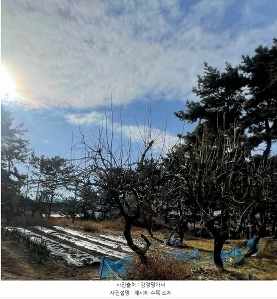 2024타경116818 경상남도 김해시 진영읍 방동리 327 농지 경매 이미지