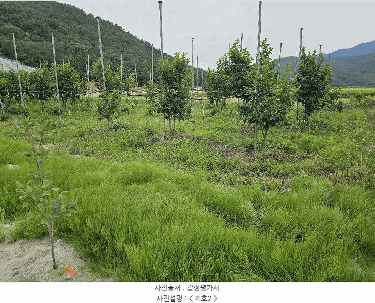 2025타경11587 경상남도 창원시 의창구 북면 신촌리 1132-1 농지 경매 이미지
