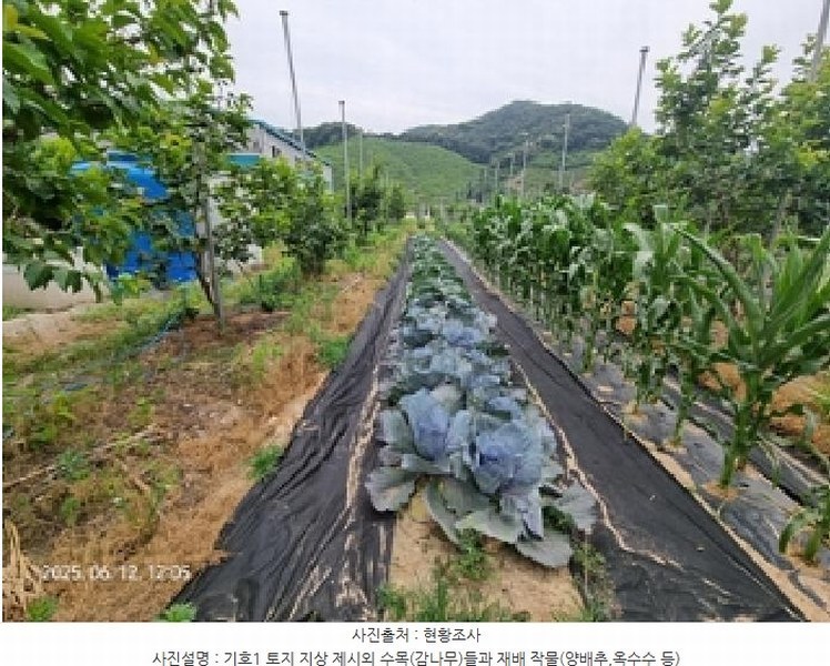 2025타경11587 경상남도 창원시 의창구 북면 신촌리 1132-1 농지 경매 이미지