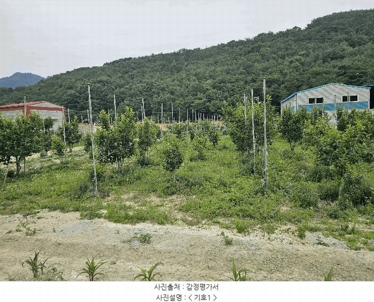 2025타경11587 경상남도 창원시 의창구 북면 신촌리 1132-1 농지 경매 이미지