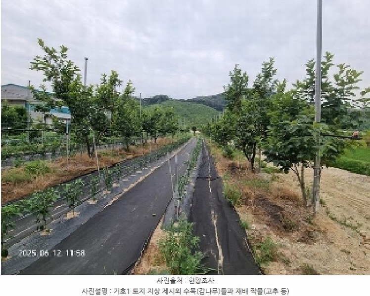 2025타경11587 경상남도 창원시 의창구 북면 신촌리 1132-1 농지 경매 이미지