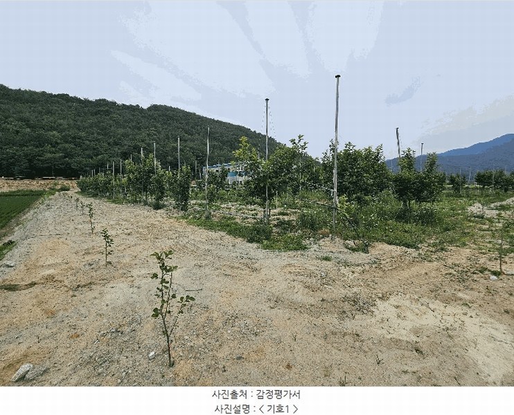 2025타경11587 경상남도 창원시 의창구 북면 신촌리 1132-1 농지 경매 이미지