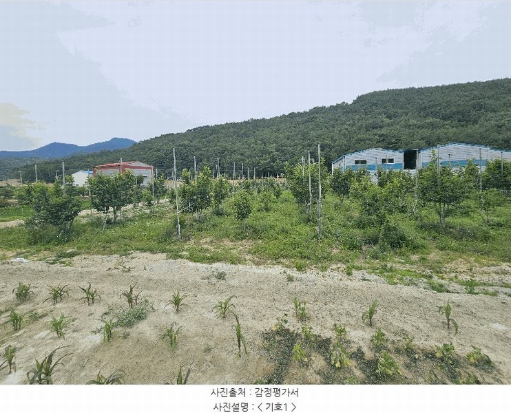 2025타경11587 경상남도 창원시 의창구 북면 신촌리 1132-1 농지 경매 이미지
