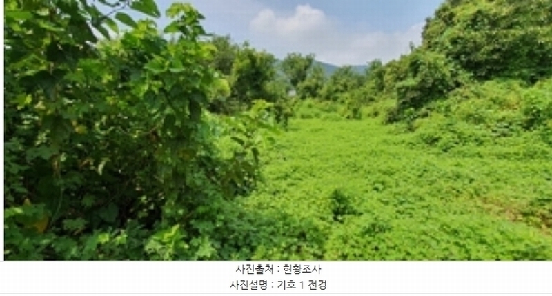 2024타경4823 경상남도 김해시 주촌면 내삼리 490 농지 경매 이미지