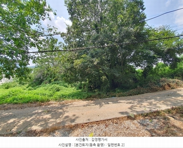 2024타경4823 경상남도 김해시 주촌면 내삼리 490 농지 경매 이미지