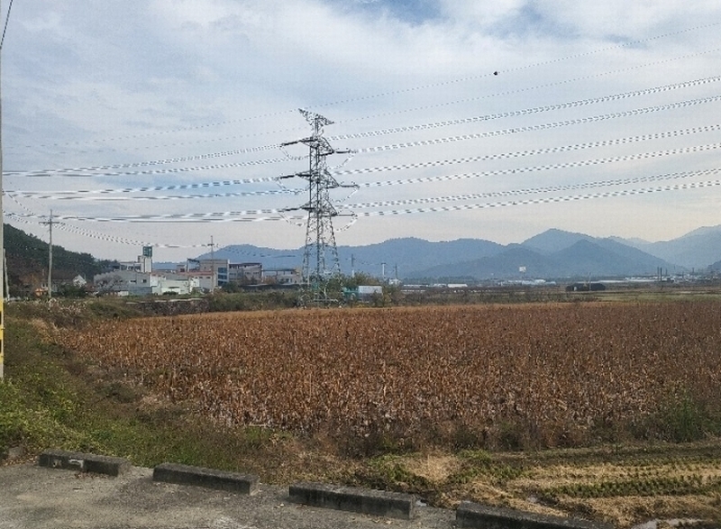 2024타경7242 경상남도 김해시 진영읍 좌곤리 262-13 농지 경매 이미지
