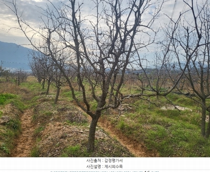 2024타경7242 경상남도 김해시 진영읍 좌곤리 262-13 농지 경매 이미지