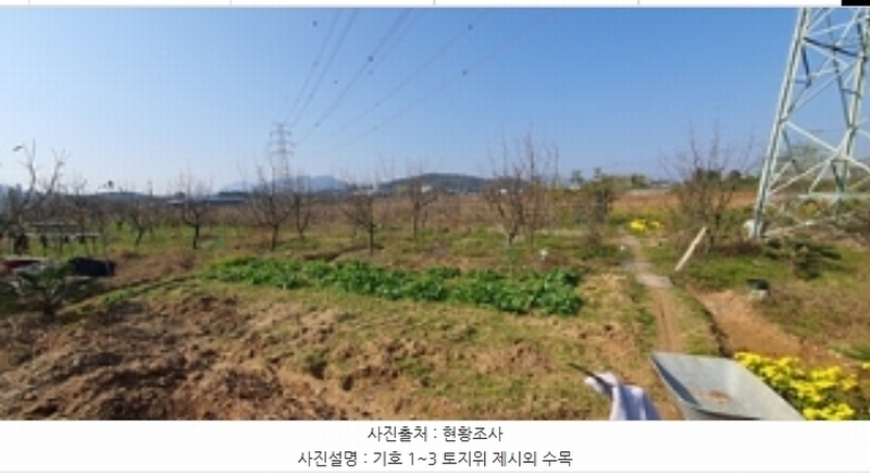 2024타경7242 경상남도 김해시 진영읍 좌곤리 262-13 농지 경매 이미지