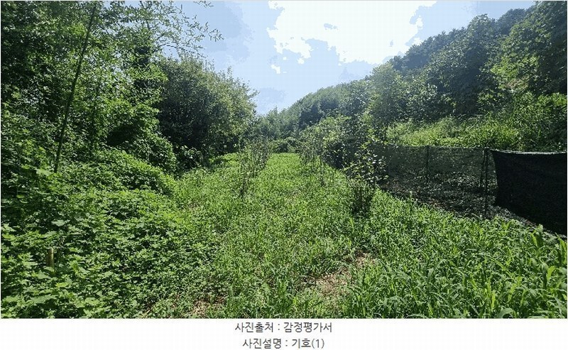 2024타경111356 경상남도 김해시 화목동 910-2 농지 경매 이미지