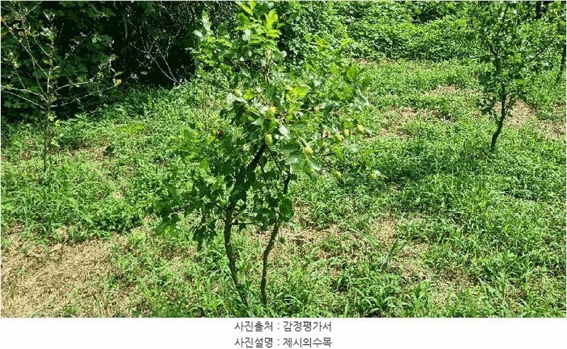 2024타경111356 경상남도 김해시 화목동 910-2 농지 경매 이미지